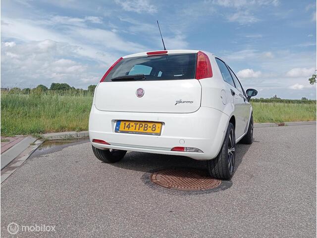 Fiat Punto Evo 1.2 Pop apk 17 inch lm velgen airco