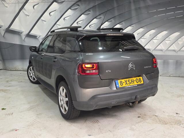 Citroen C4 CACTUS 1.6 BlueHDi Shine