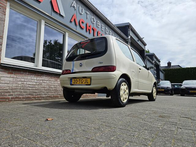Fiat 600 1.1 Young Stuurbekrachtiging NAP Dealer Onderhouden Leuke Auto