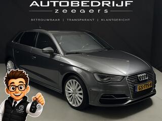 Audi A3 Sportback (2012 - 2020)