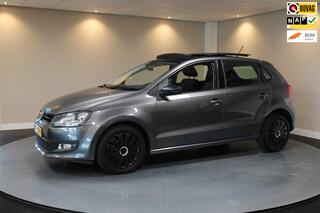 Volkswagen Polo (2009 - 2017)