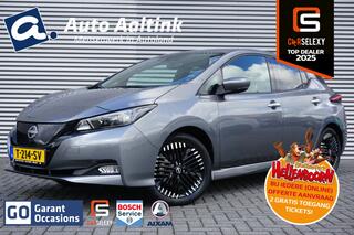 Nissan Leaf (2018 - 2025)