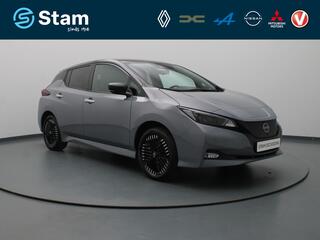Nissan Leaf (2018 - 2025)