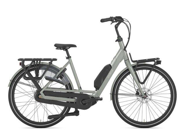 Gazelle Bloom C310