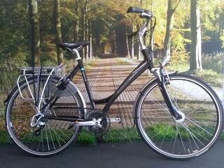 Batavus Crescendo
