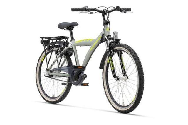 Batavus Snake 24