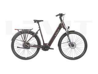Levit BELECO 3 low 45 allspice 725