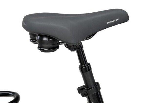 Batavus Finez E-Go Power