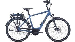 Pegasus Siena E7F Plus Belt