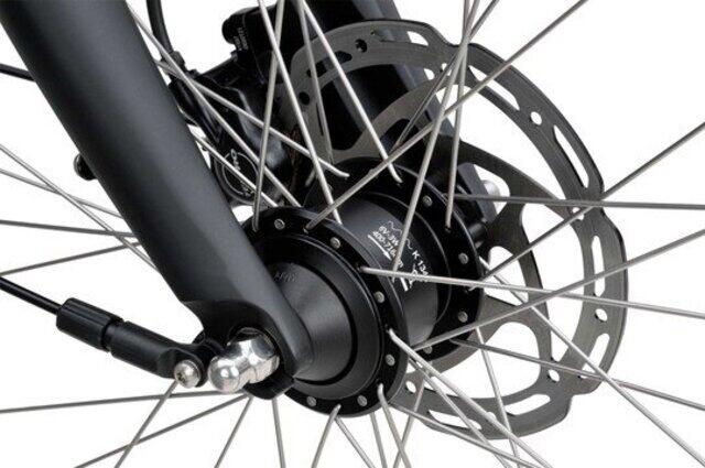 Batavus Finez Exclusive Leenfiets 1