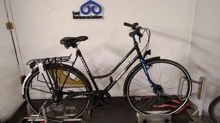 Batavus Allure
