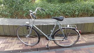 Batavus Champion