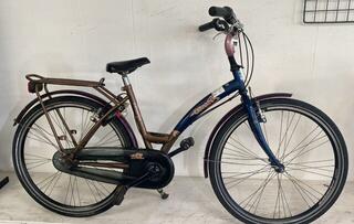 Batavus Gabana 26