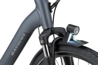 Batavus Winner