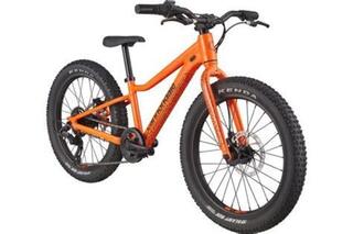 Cannondale Kids Trail 20