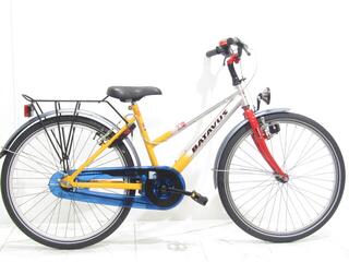 Batavus Fox