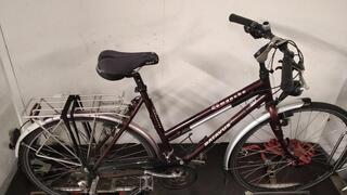 Batavus Comanche Damesfiets