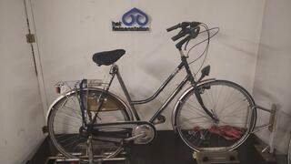Batavus Traversa