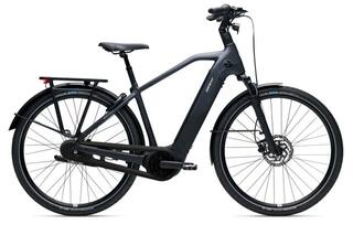 Giant AnyTour E+