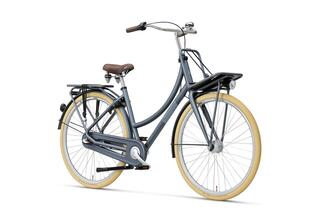 Batavus PACKD 3
