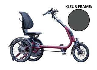 Van Raam Easy Rider Compact grijs 880Wh