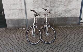 Giant .Cosmo cs