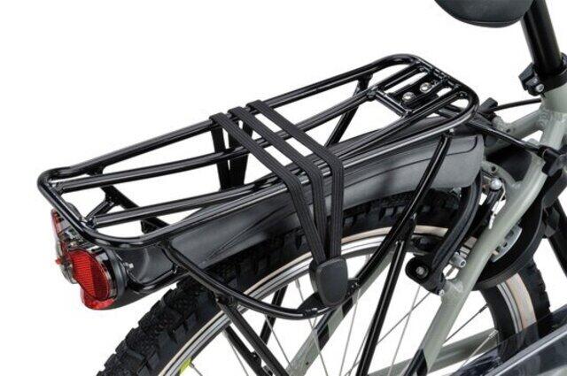 Batavus Snake-24