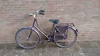 Batavus Young Dutch 24"