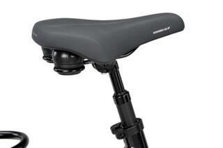 Batavus Finez E-Go Active Plus N8