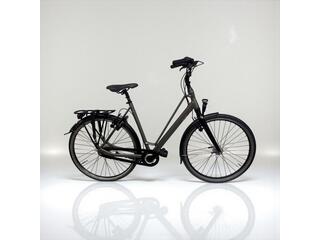 Batavus Bryte