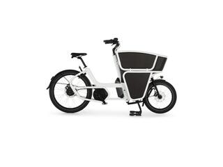 Urban Shorty Performance Line