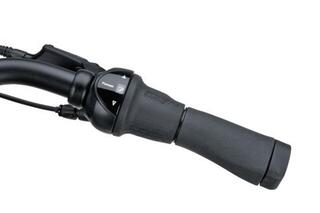 Batavus Senze Comfort