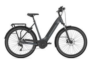 Gazelle Ultimate T10 HMB (500wh)