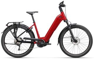 Koga Pace B05