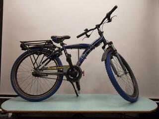 Batavus Snake 24 inch