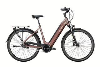 Victoria Tresalo 500W Accu