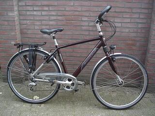 Gazelle Goldline Siena v.v.