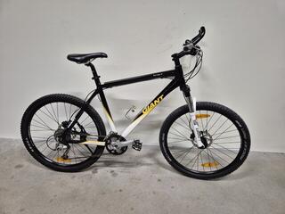 Giant Terrago 2