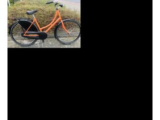 Aldo oma Starter 28" - 50 cm. oranje inc
