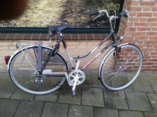 Koga-Miyata Roadlady