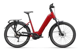 Koga Pace B05