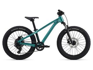 Giant STP 20
