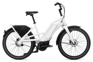Giant Delivery E+
