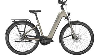 Pegasus PREMIO EVO 5F Belt 800wh