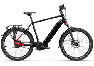 Koga Pace B10