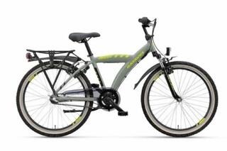Batavus Snake J24
