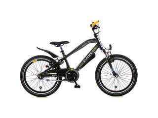 Alpina Trial 20 inch