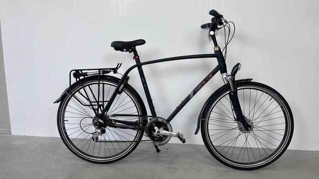 Batavus Gavia
