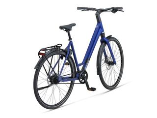 Koga F3 8.0 LADY