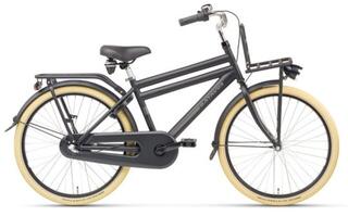 Batavus Packd 24 inch